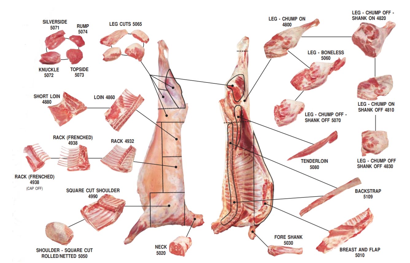 Name:  Lamb-Cuts-Chart.jpg
Views: 325
Size:  141.0 KB