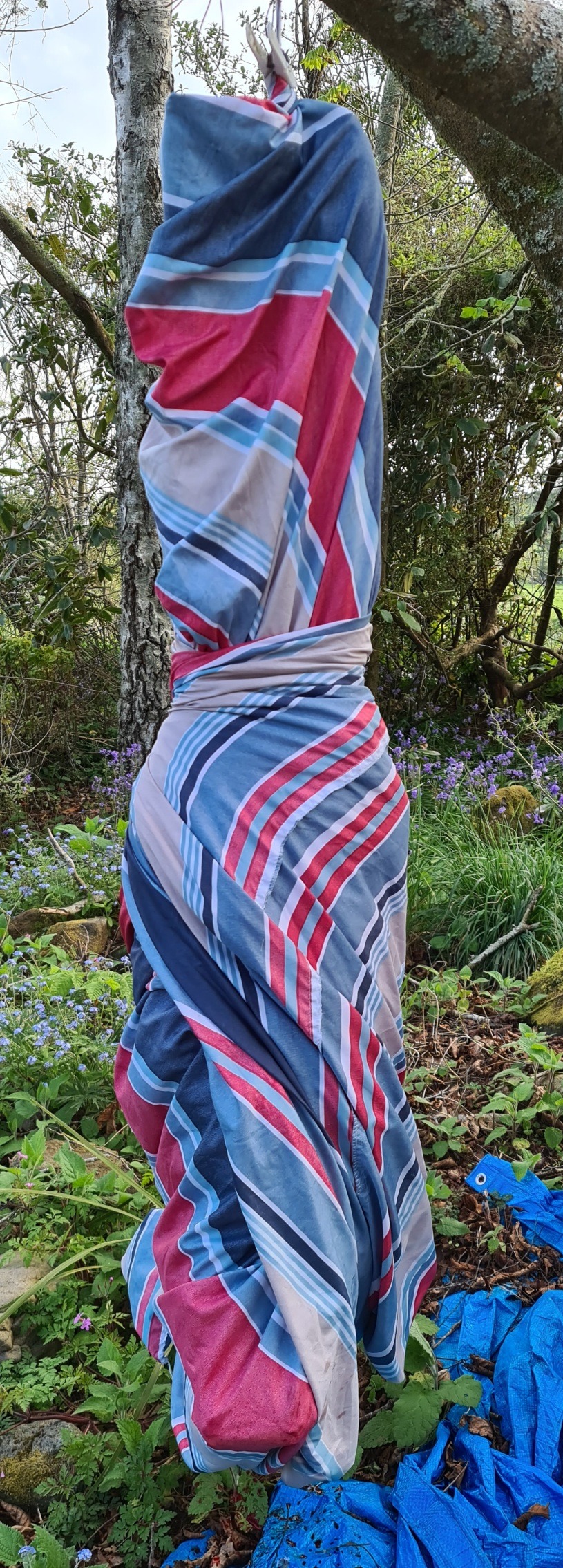 Name:  wrapped up.jpg
Views: 173
Size:  832.8 KB