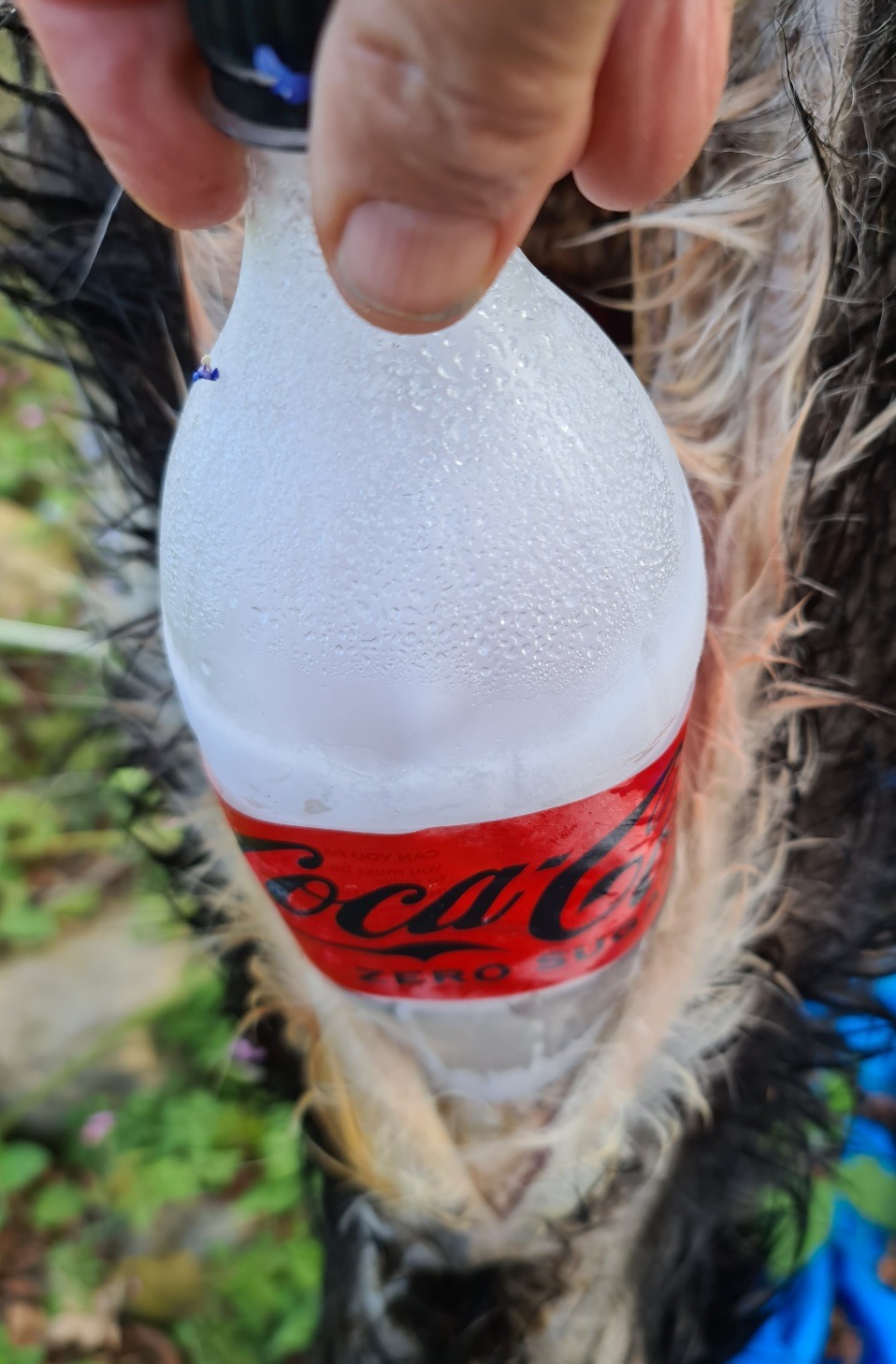Name:  bottle.jpg
Views: 169
Size:  254.7 KB