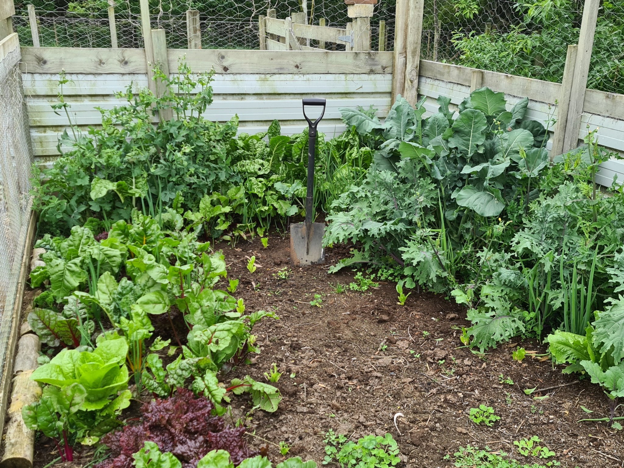 Name:  garden.jpg
Views: 157
Size:  995.1 KB