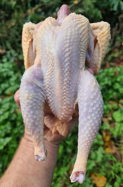 Name:  hand.jpg
Views: 207
Size:  87.3 KB