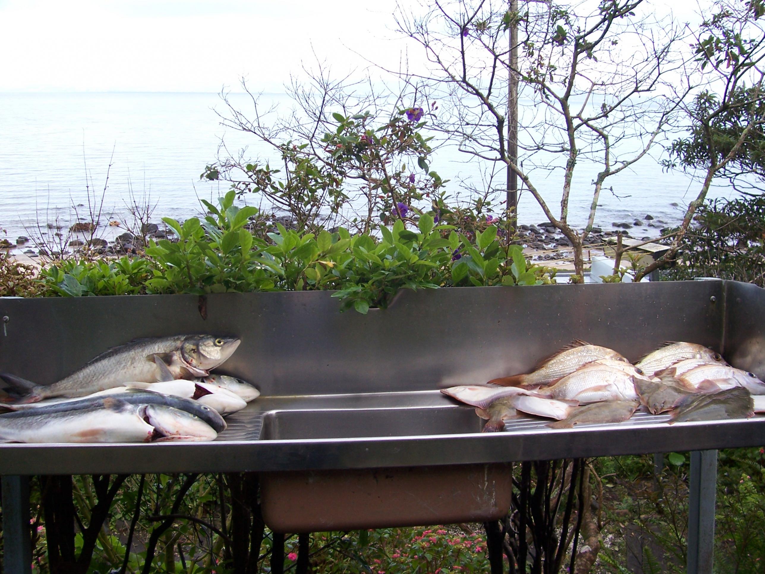 Name:  Todays Catch 002.jpg
Views: 364
Size:  662.4 KB