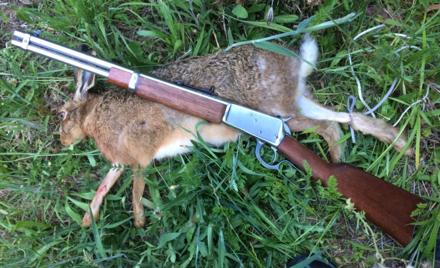 Name:  Rossi357HareDec2017.jpg
Views: 134
Size:  766.9 KB