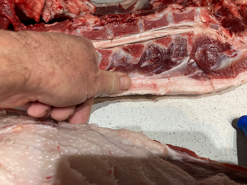 Name:  StevesPigFat1.jpeg
Views: 131
Size:  564.2 KB