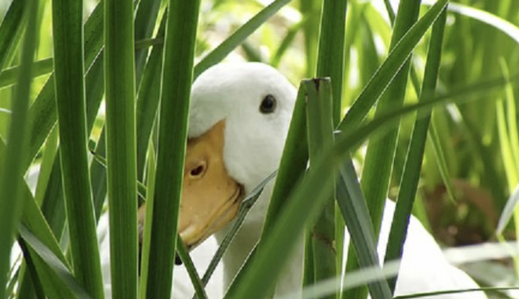 Name:  IMG_2473.jpeg
Views: 200
Size:  292.5 KB