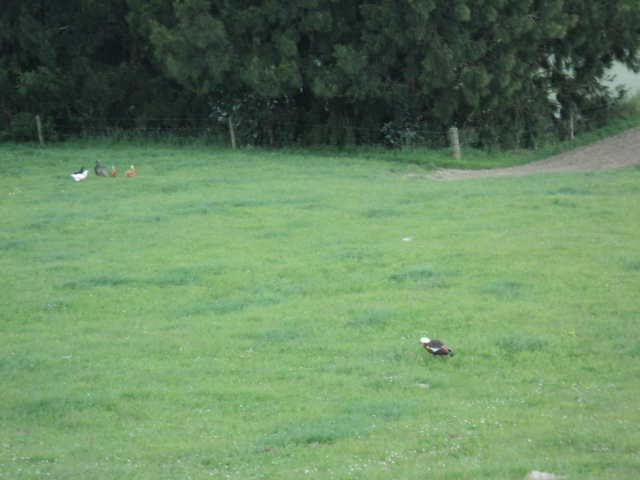Name:  picture 4677.jpg
Views: 160
Size:  161.7 KB