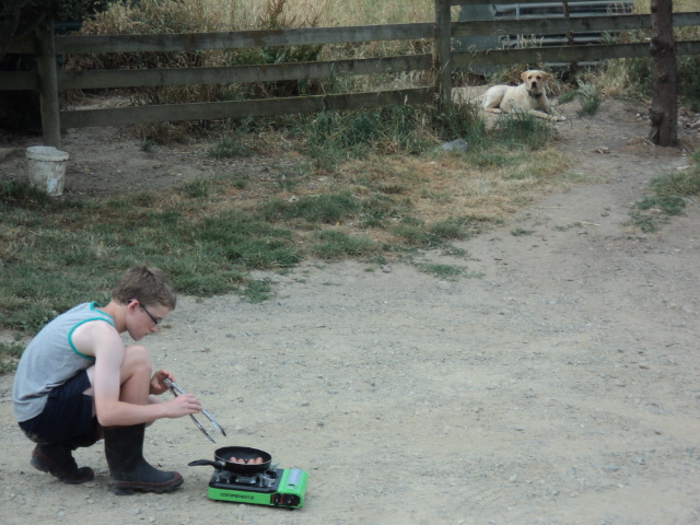 Name:  picture 4981.jpg
Views: 229
Size:  162.3 KB