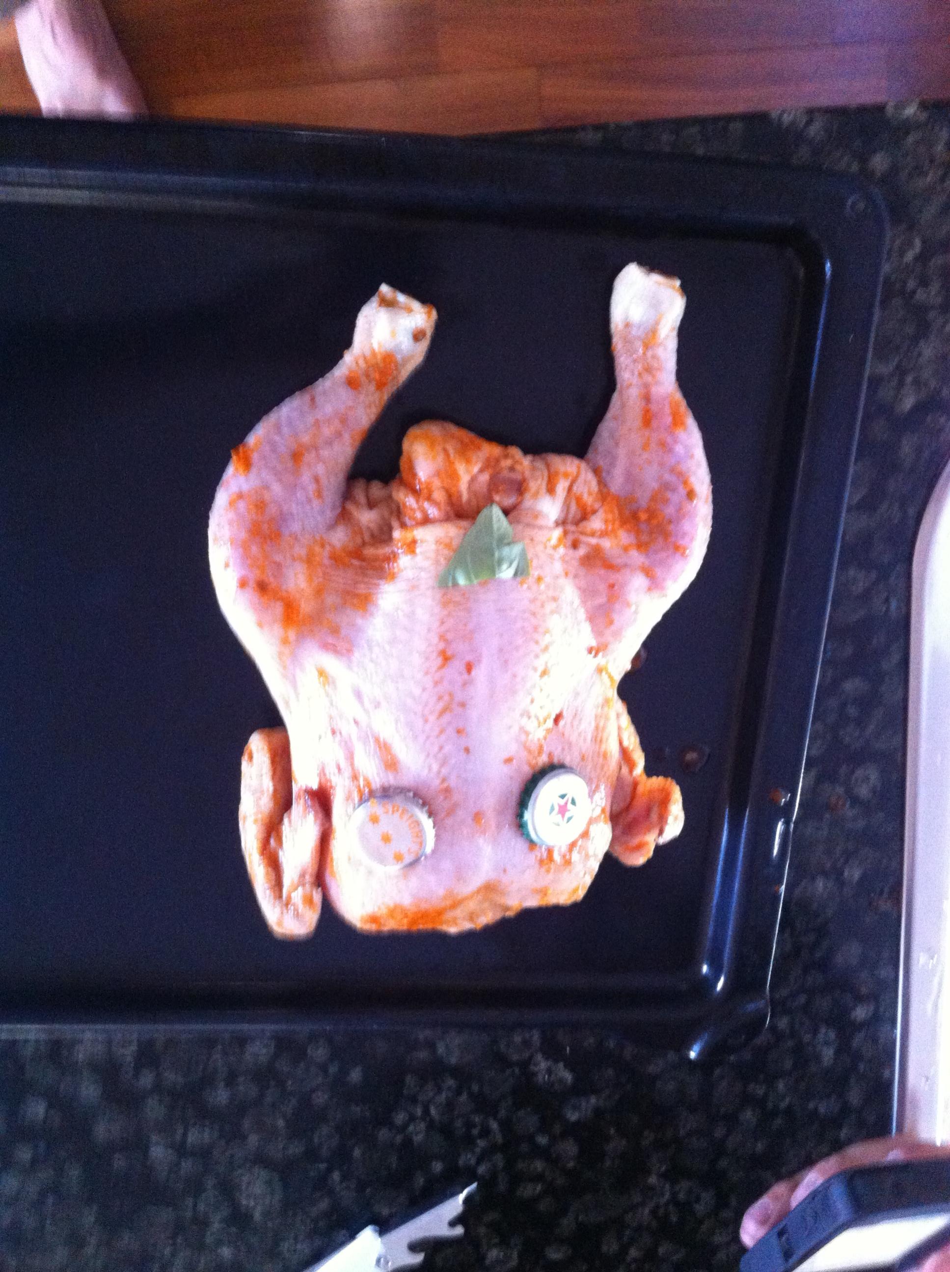Name:  Chicken Dress up.jpg
Views: 119
Size:  588.5 KB