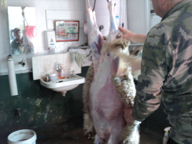 Name:  picture 3566.jpg
Views: 910
Size:  165.0 KB