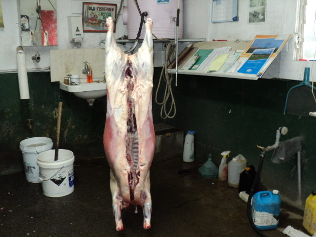 Name:  picture 3206.jpg
Views: 325
Size:  163.5 KB