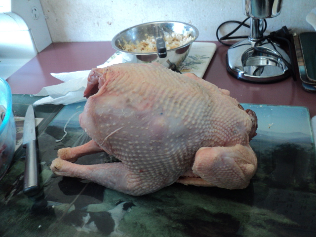 Name:  picture 6846.jpg
Views: 282
Size:  163.6 KB