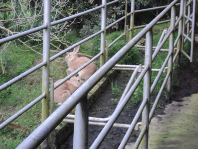 Name:  picture 6741.jpg
Views: 215
Size:  162.7 KB