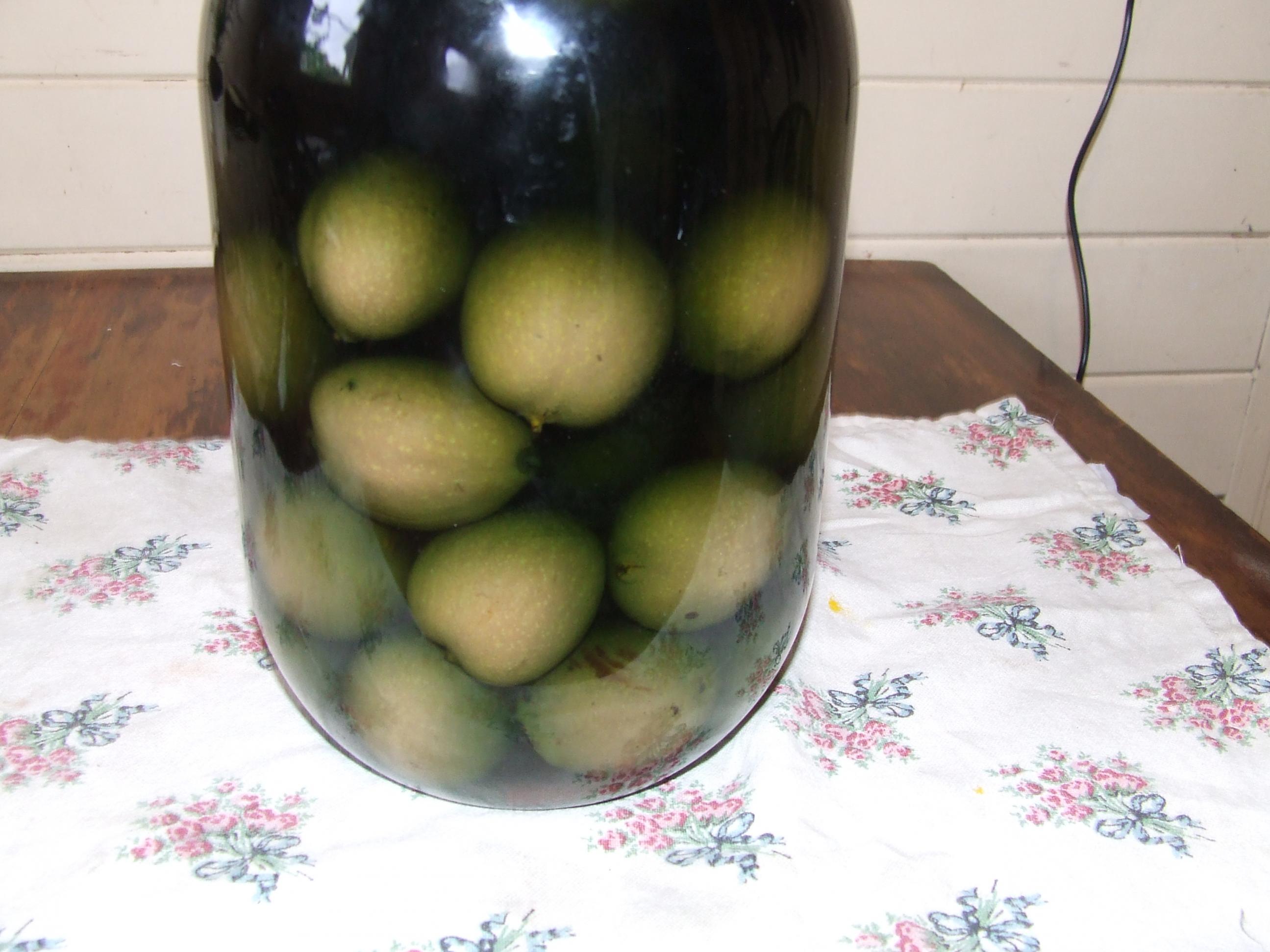 Name:  noix 013.jpg
Views: 458
Size:  353.1 KB