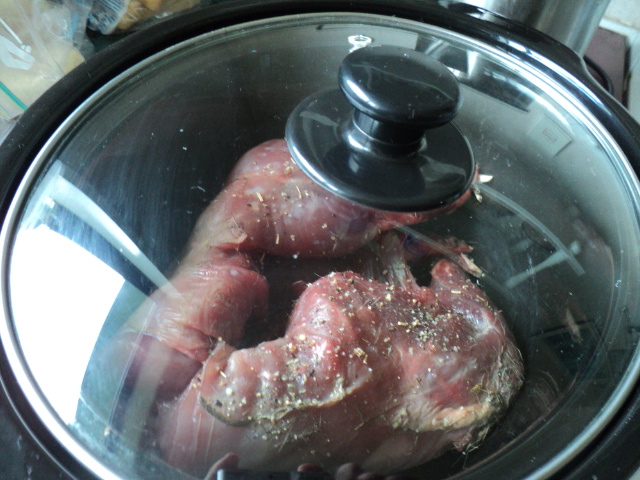 Name:  picture 8733.jpg
Views: 230
Size:  164.7 KB
