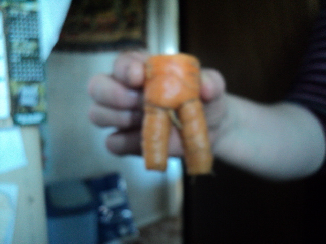 Name:  picture 9088.jpg
Views: 229
Size:  163.9 KB