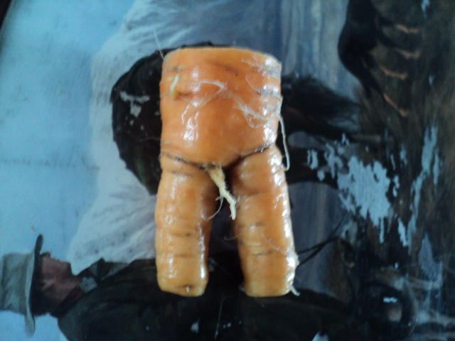 Name:  picture 9089.jpg
Views: 238
Size:  162.8 KB