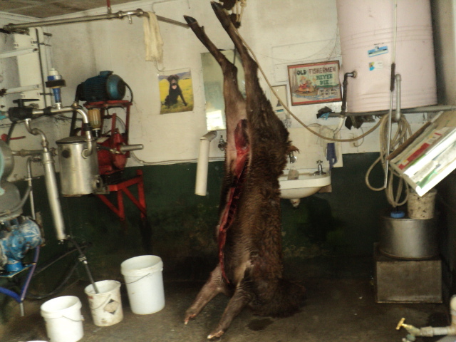 Name:  picture 383 007.jpg
Views: 270
Size:  165.2 KB