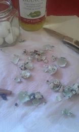 Name:  quaileggs1.jpg
Views: 236
Size:  7.3 KB