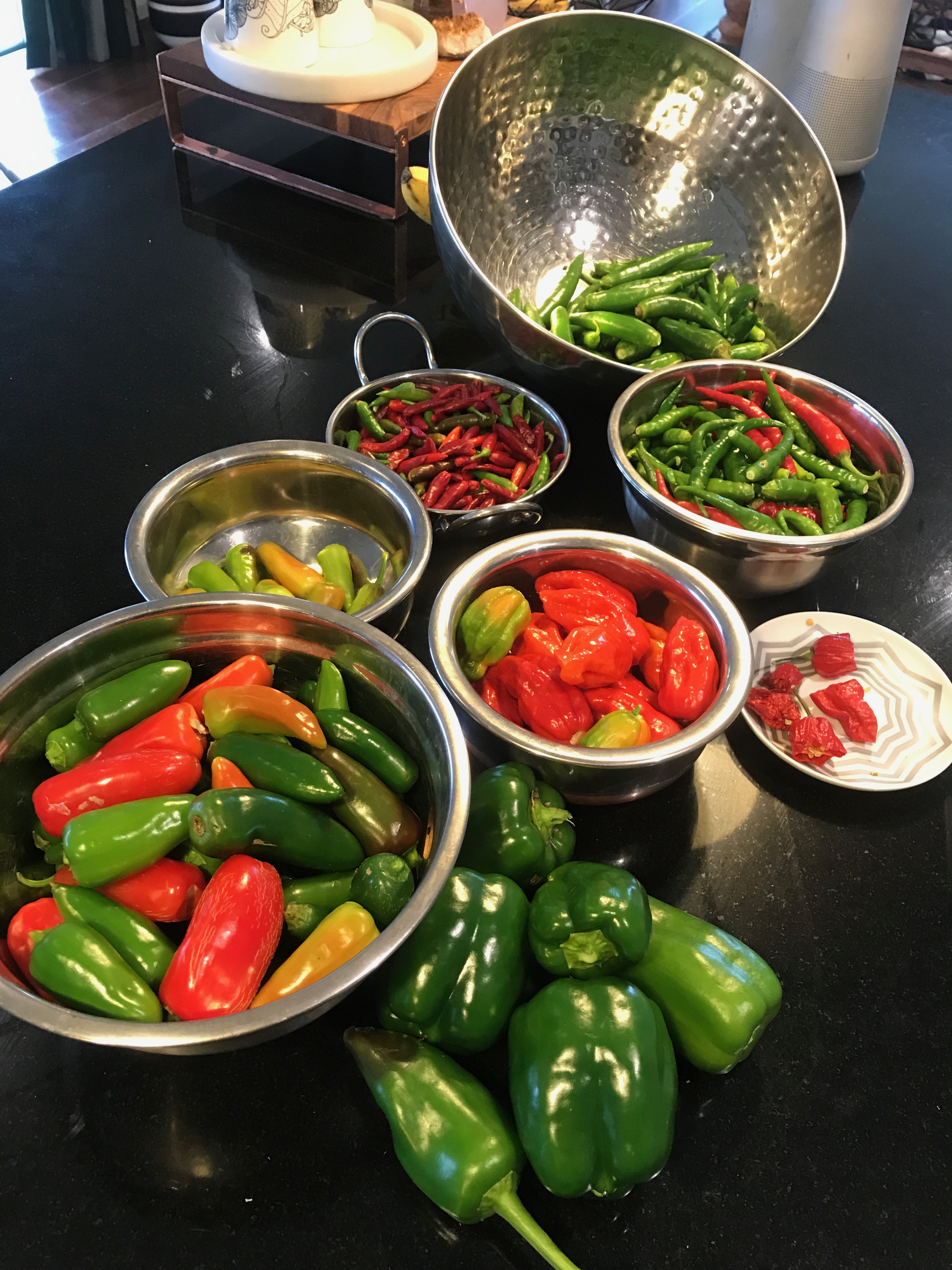 Name:  chillies.jpg
Views: 310
Size:  2.45 MB