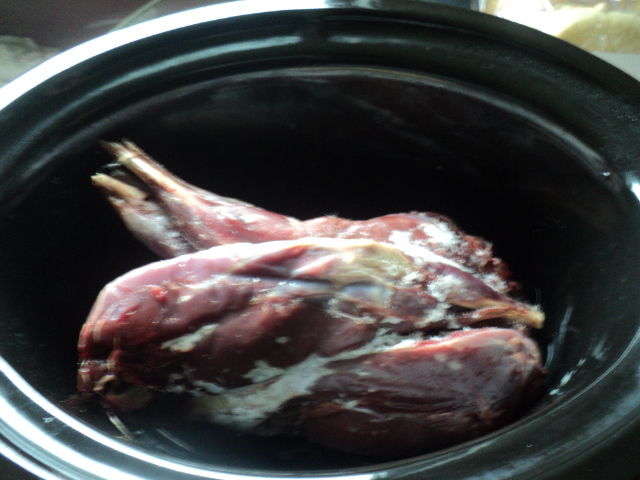 Name:  picture 01 1686.jpg
Views: 142
Size:  163.4 KB