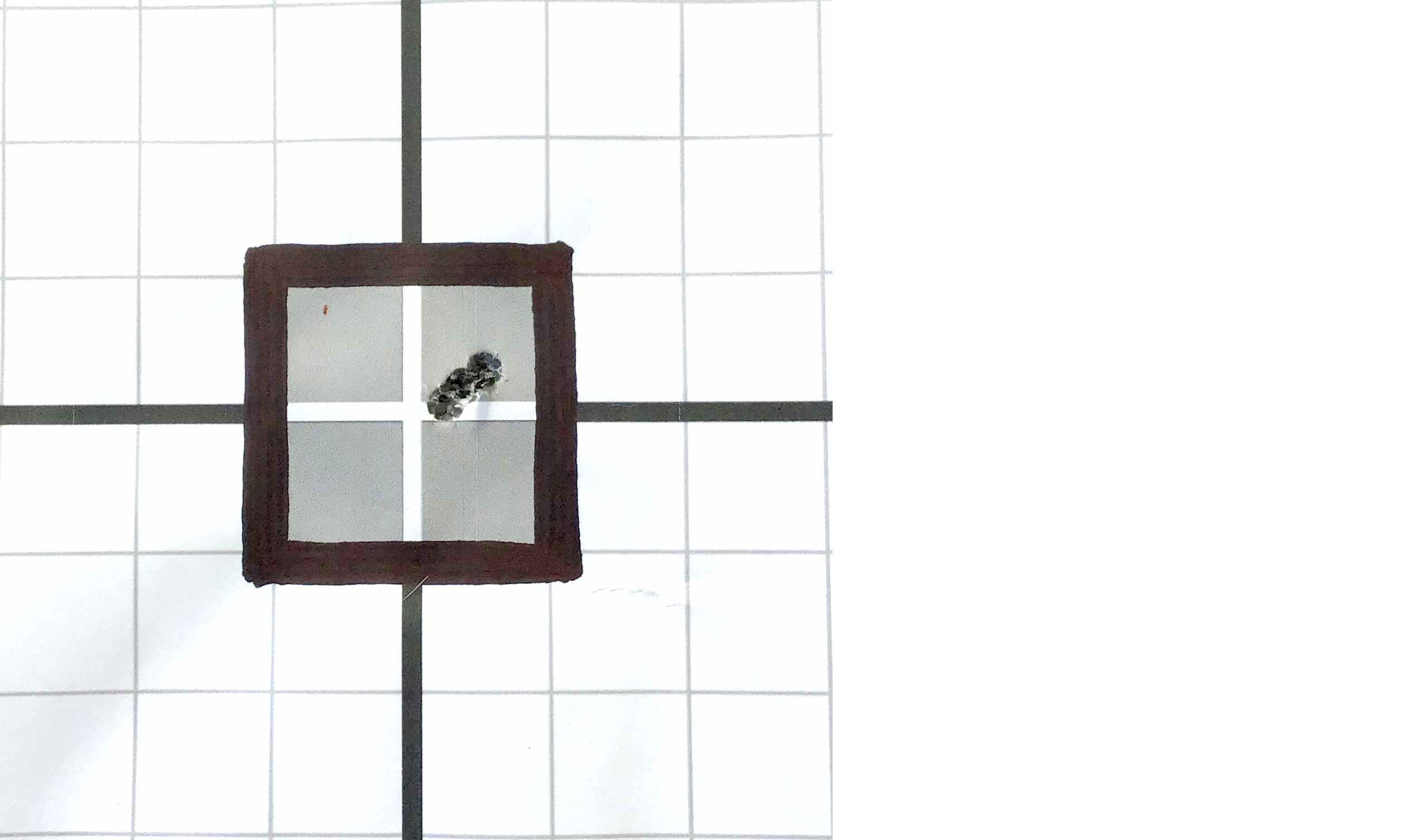 Name:  10.   group with spikes in adapter.jpg
Views: 524
Size:  137.0 KB