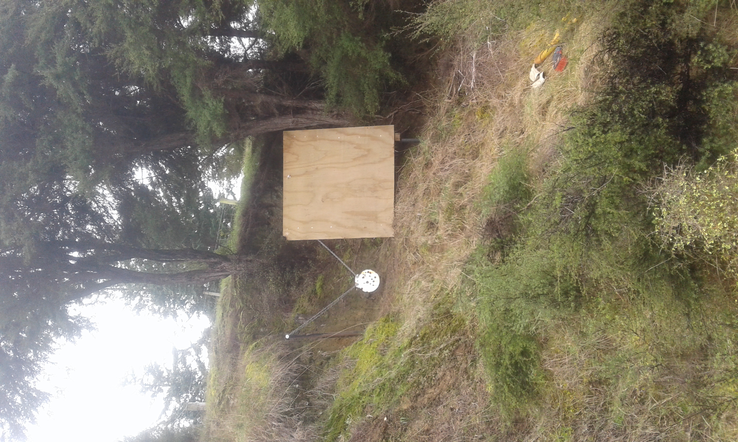 Name:  20210830_135342.jpg
Views: 348
Size:  2.05 MB