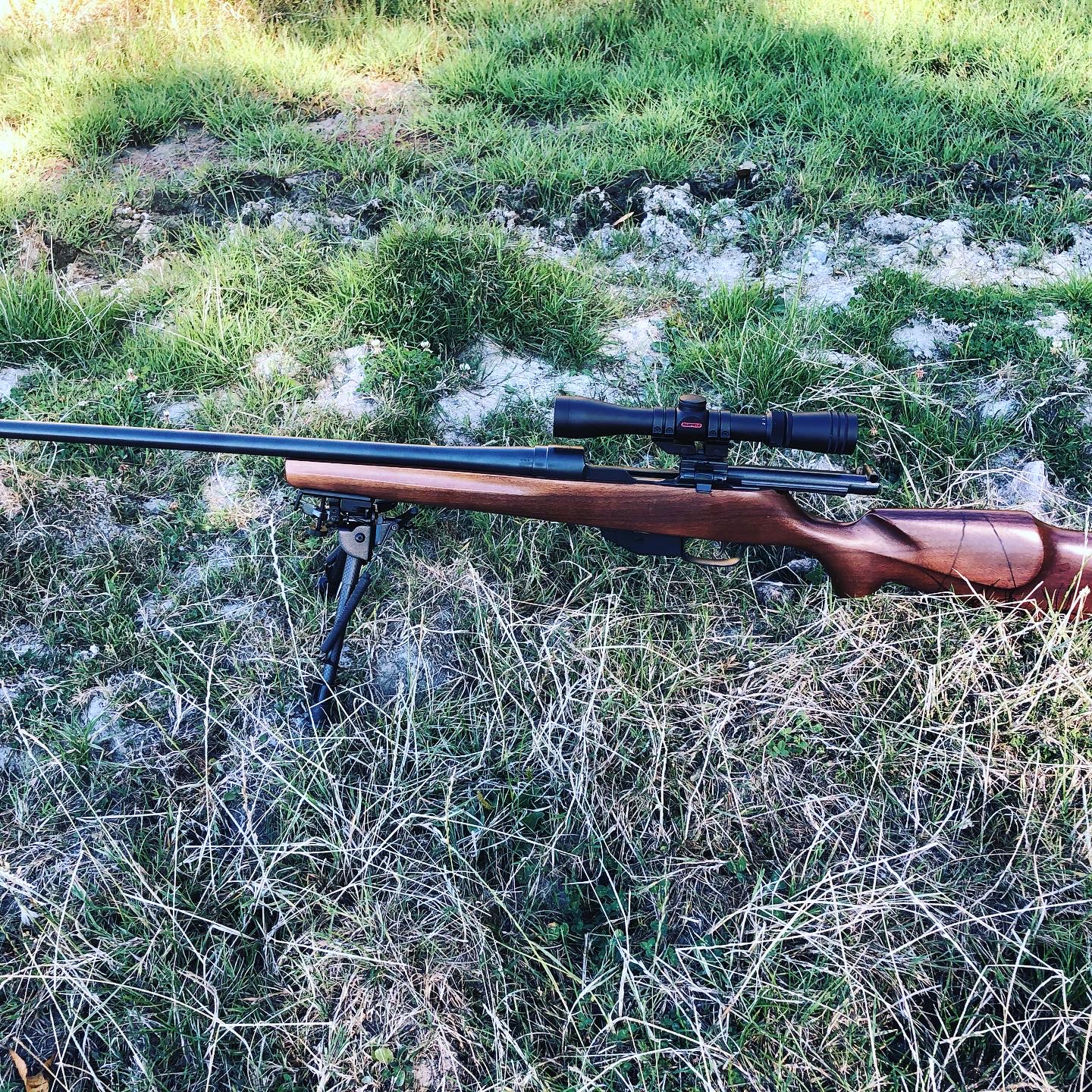 Name:  Rifle in Field.JPG
Views: 601
Size:  1.47 MB