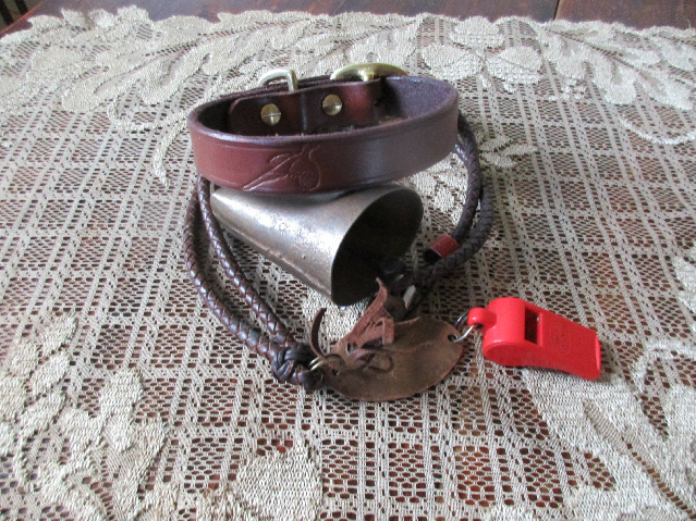 Name:  collarjazz.jpg
Views: 697
Size:  245.7 KB