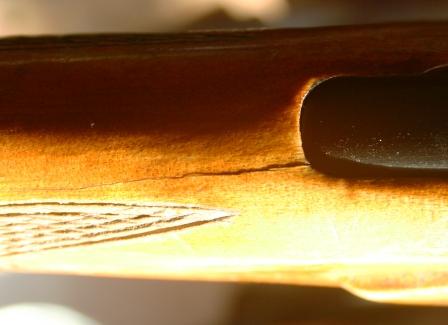 Name:  IMG_7520.JPG
Views: 892
Size:  18.9 KB