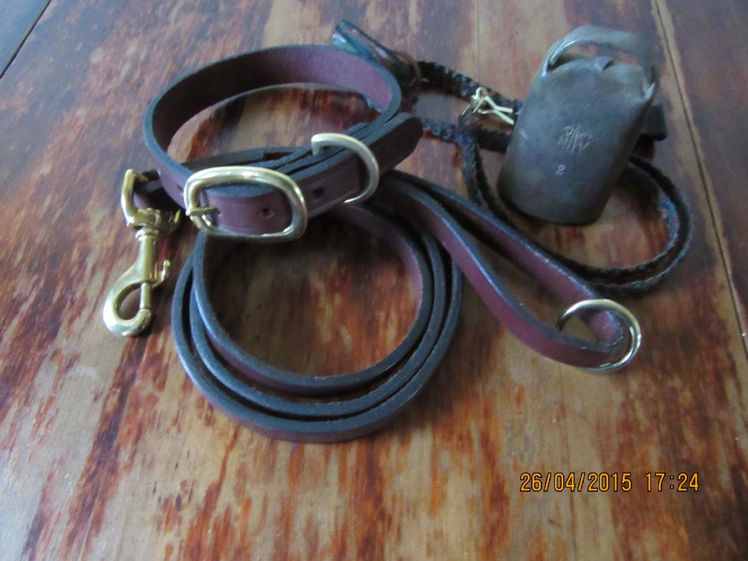 Name:  leadancollar.jpg
Views: 382
Size:  100.7 KB