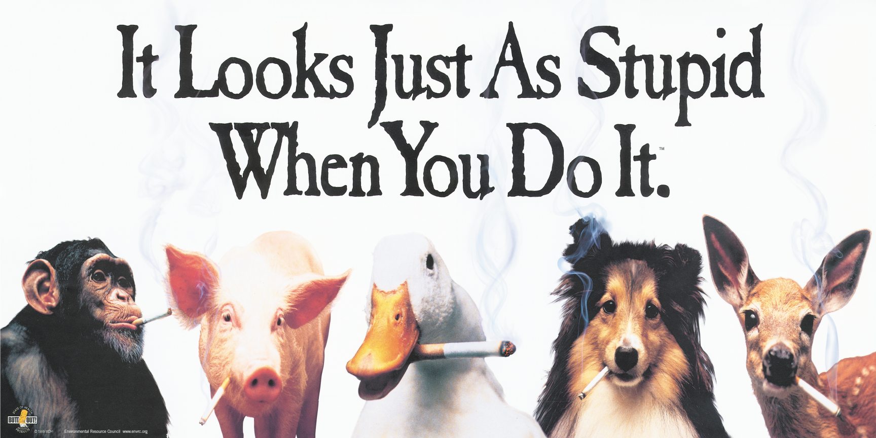 Name:  animals-smoking-24x12.jpg
Views: 848
Size:  184.9 KB