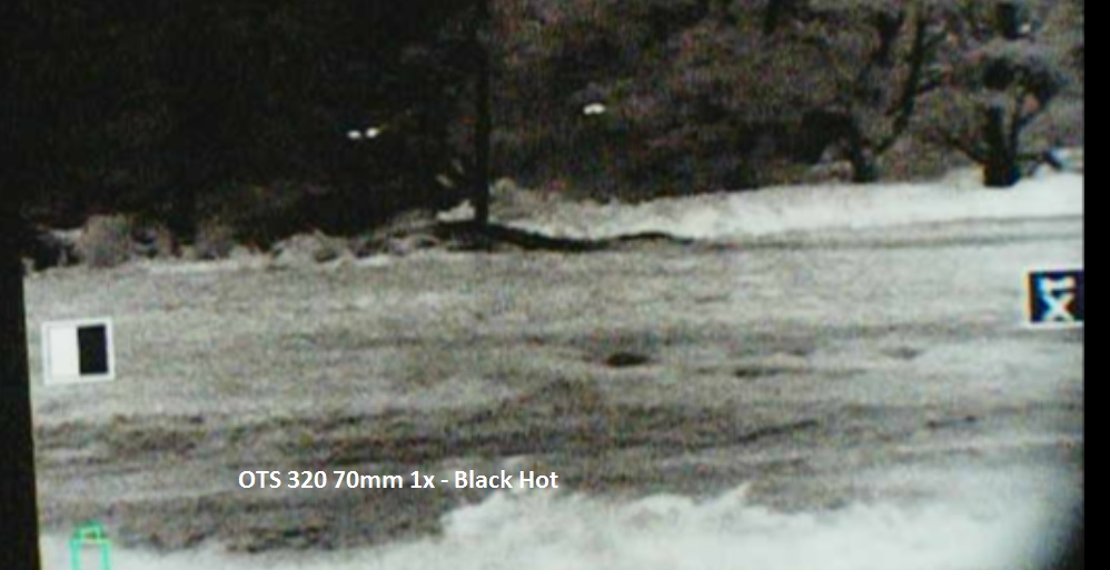 Name:  320-70mm-1x.jpg
Views: 323
Size:  103.0 KB