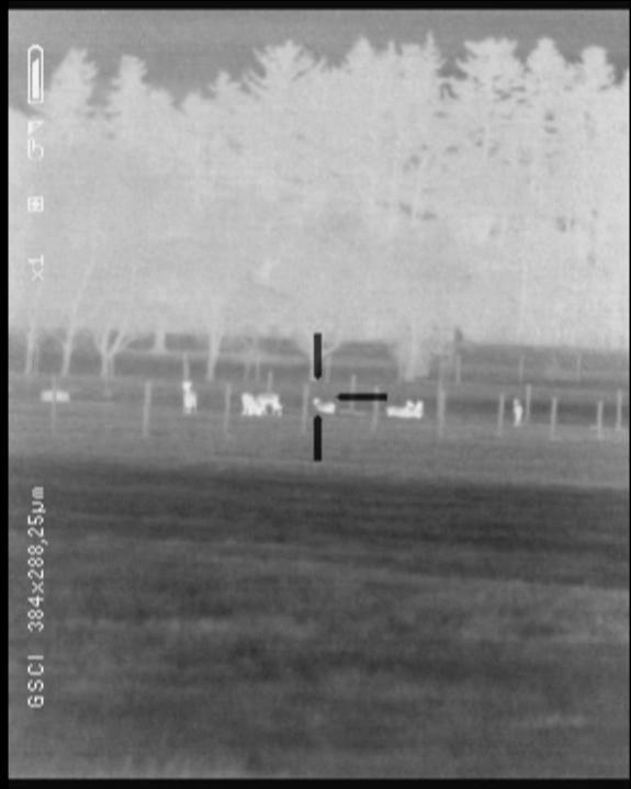 Name:  Many Deer 170m 50mm.jpg
Views: 1176
Size:  31.7 KB