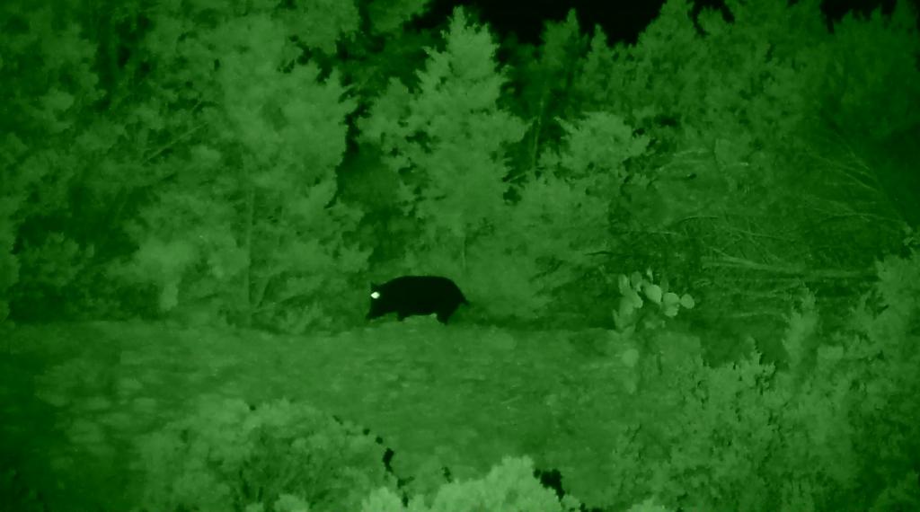 Name:  Xsight-150yards20IR.jpg
Views: 1624
Size:  53.9 KB