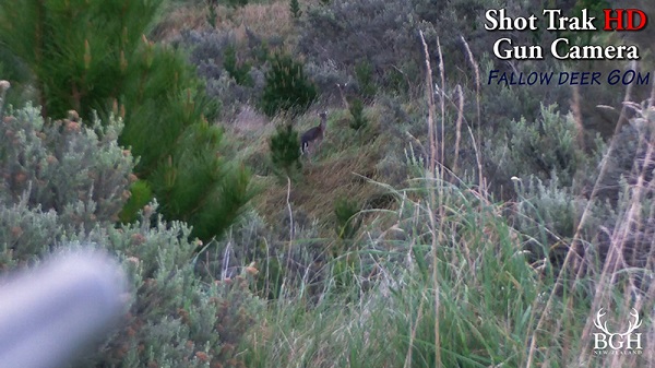 Name:  S3L.jpg
Views: 256
Size:  100.0 KB