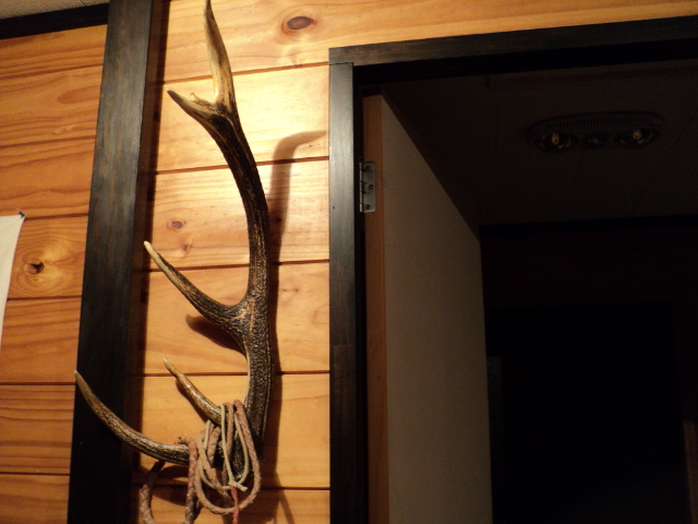 Name:  picture 1289.jpg
Views: 798
Size:  163.5 KB