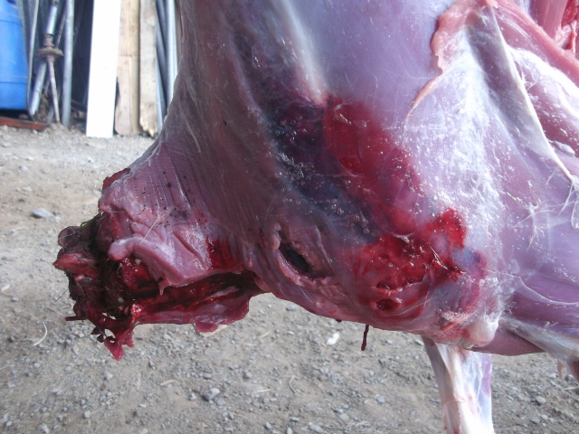 Name:  021 (640x480).jpg
Views: 557
Size:  305.6 KB