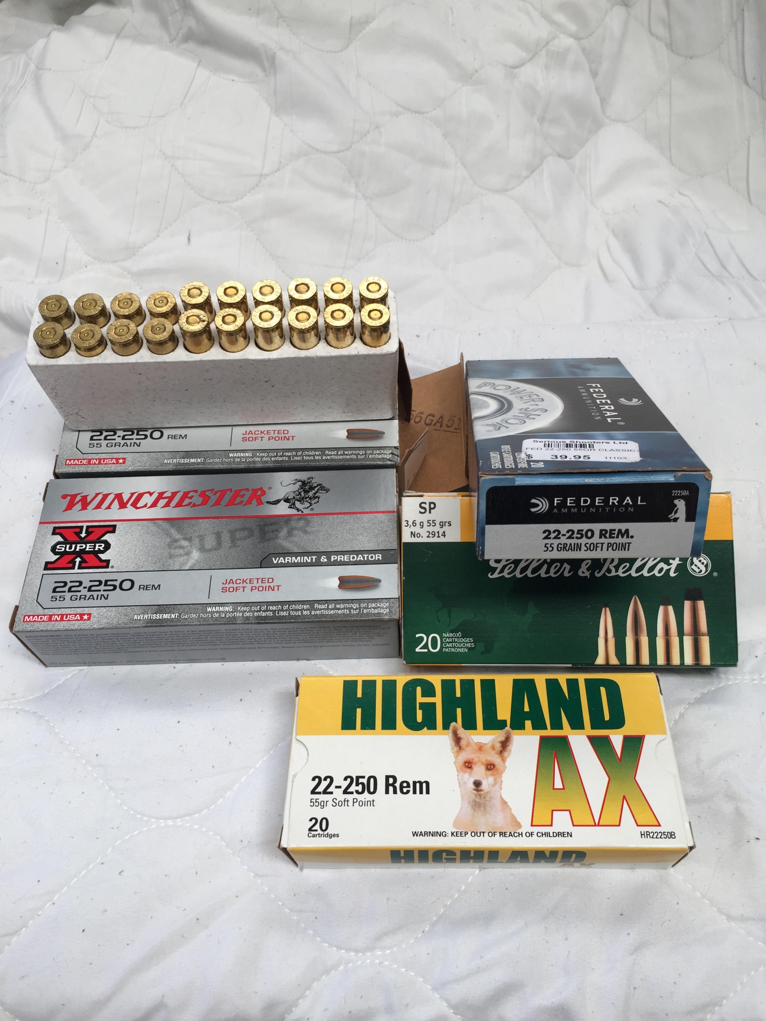 Name:  22 250 ammo.jpg
Views: 1004
Size:  719.1 KB