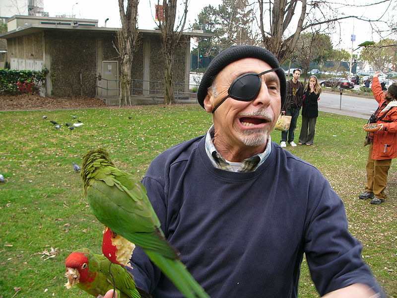 Name:  800px-Pirate_costume_eyepatch.jpg
Views: 225
Size:  144.4 KB