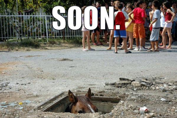 Name:  horse.jpg
Views: 328
Size:  51.9 KB