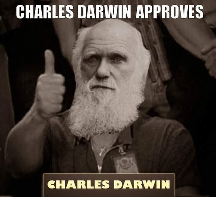 Name:  Charles Darwin approves.jpg
Views: 1121
Size:  32.2 KB