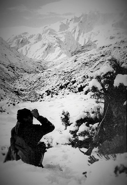 Name:  HUNTING (66).jpg
Views: 472
Size:  89.5 KB