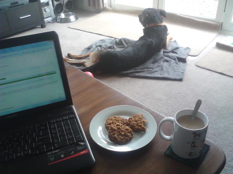 Name:  tea1.jpg
Views: 438
Size:  64.1 KB