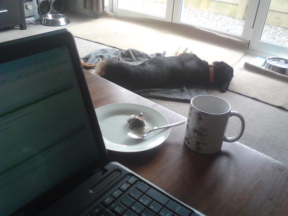 Name:  tea2.jpg
Views: 424
Size:  63.8 KB