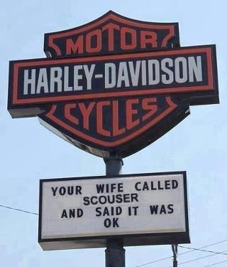 Name:  Harley Scouser .jpg
Views: 221
Size:  45.8 KB