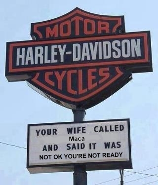 Name:  Harley mACA .jpg
Views: 220
Size:  50.0 KB