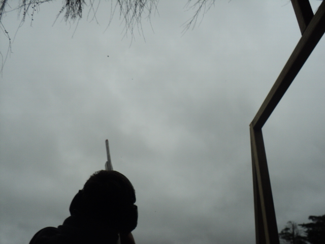 Name:  picture 01 2413.jpg
Views: 330
Size:  164.4 KB