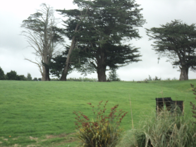 Name:  picture 01 2415.jpg
Views: 308
Size:  164.1 KB