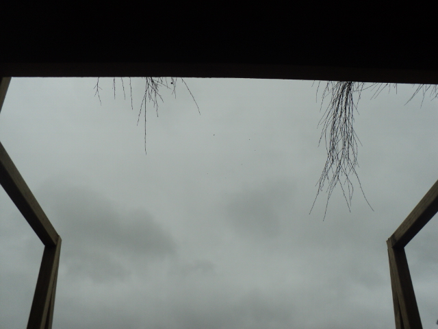 Name:  picture 01 2423.jpg
Views: 313
Size:  162.6 KB