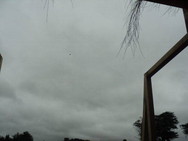 Name:  picture 01 2425.jpg
Views: 301
Size:  146.2 KB